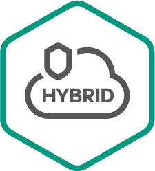 Kaspersky Hybrid Cloud Security, Server