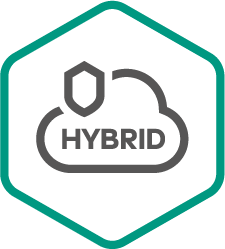 Kaspersky Hybrid Cloud Security, Server